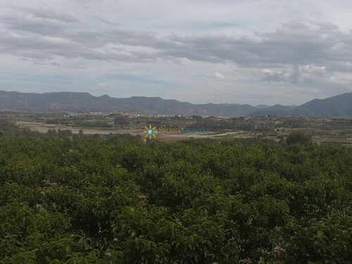 Foto - Grundstück zum Kaufen in Beniganim