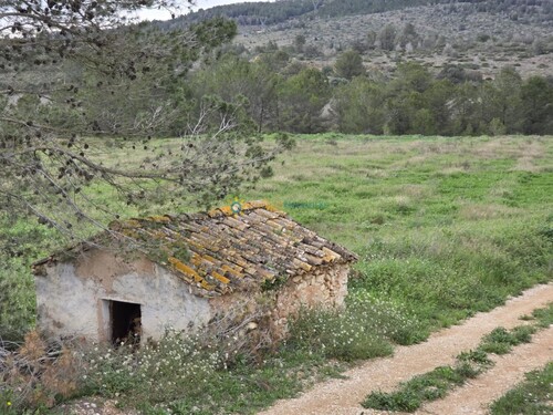 Foto - Grundstück in Beniganim zum Kaufen
