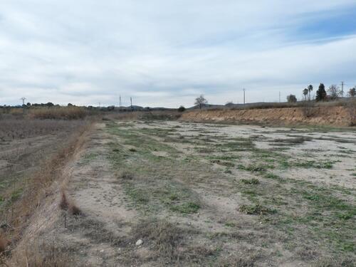 Foto - Grundstück in Alfarrasi - 29.000,00&nbsp;EUR Kaufpreis, ca.&nbsp; 0,00&nbsp;m&sup2;