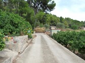 Foto - 