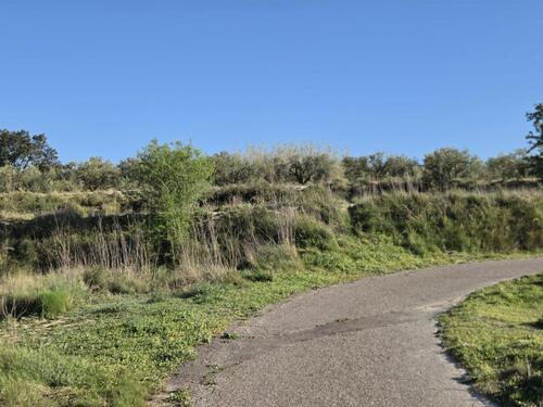 Foto - Grundstück in Montaverner
