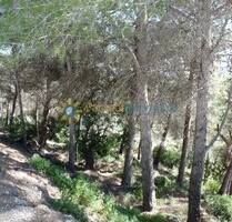 Grundstück in Oliva - 73.000,00&nbsp;EUR Kaufpreis, ca.&nbsp; 0,00&nbsp;m&sup2; in Oliva (PLZ: )