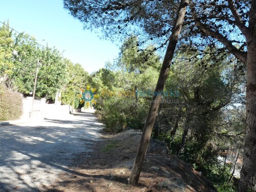 Foto - Grundstück zum Kaufen in Oliva