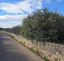 Grundstück in Gandia - 35.000,00&nbsp;EUR Kaufpreis, ca.&nbsp; 0,00&nbsp;m&sup2; in Gandia (PLZ: )