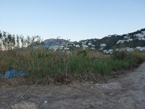 Foto - 