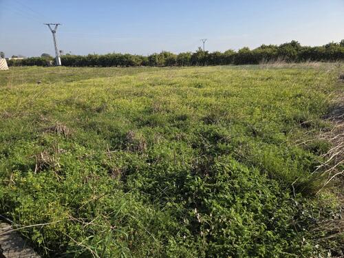 Foto - Grundstück in Rafelcofer - 5.000,00&nbsp;EUR Kaufpreis, ca.&nbsp; 0,00&nbsp;m&sup2;