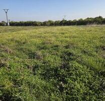 Grundstück in Rafelcofer - 5.000,00&nbsp;EUR Kaufpreis, ca.&nbsp; 0,00&nbsp;m&sup2; in Rafelcofer (PLZ: )