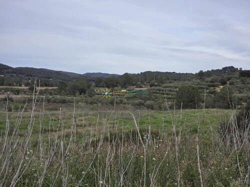 Foto - 