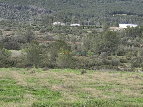 Foto - Grundstück in Beniganim