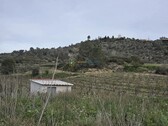 Foto - 