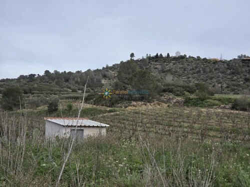 Foto - 