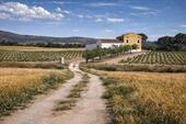 Foto - Villa in Villena - 1.000.000,00&nbsp;EUR Kaufpreis, ca.&nbsp; 910,00&nbsp;m&sup2;