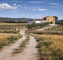Villa in Villena - 1.000.000,00&nbsp;EUR Kaufpreis, ca.&nbsp; 910,00&nbsp;m&sup2; in Villena (PLZ: )