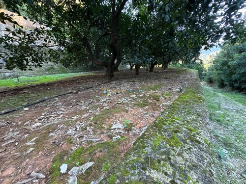 Foto - Grundstück in Simat De La Valldigna zum Kaufen