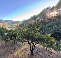 Grundstück in Simat De La Valldigna