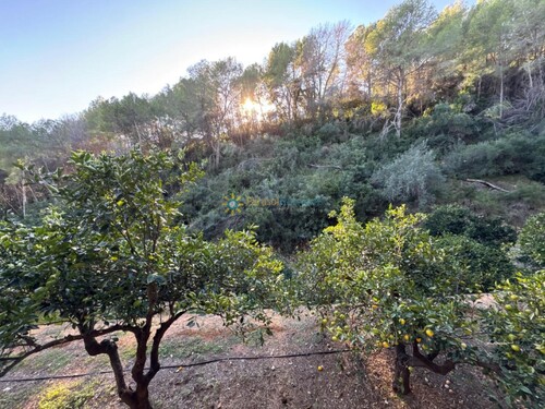 Foto - Grundstück zum Kaufen in Simat De La Valldigna