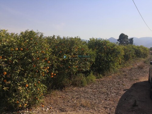 Foto - 