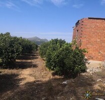 Grundstück in Villalonga - 60.000,00&nbsp;EUR Kaufpreis, ca.&nbsp; 0,00&nbsp;m&sup2; in Villalonga (PLZ: )