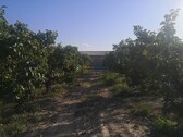 Foto - 