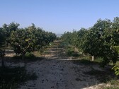 Foto - 