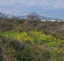 Grundstück in Gandia - 35.000,00&nbsp;EUR Kaufpreis, ca.&nbsp; 0,00&nbsp;m&sup2; in Gandia (PLZ: )