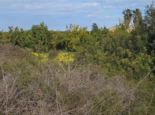 Foto - Grundstück zum Kaufen in Gandia