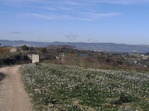 Foto - Grundstück in Castello De Rugat zum Kaufen