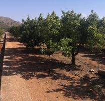 Grundstück in Oliva - 28.000,00&nbsp;EUR Kaufpreis, ca.&nbsp; 0,00&nbsp;m&sup2; in Oliva (PLZ: )