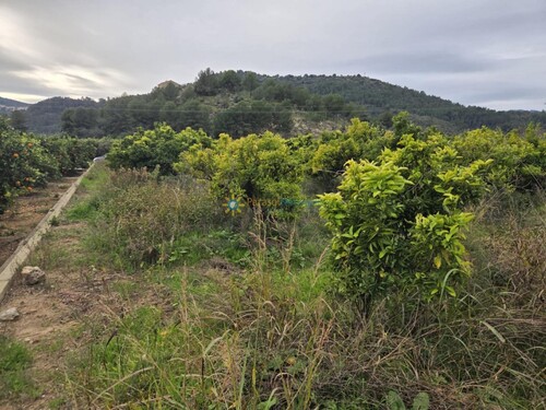 Foto - Grundstück zum Kaufen in Alqueria de la Comtessa