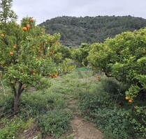 Grundstück in Rafelcofer - 14.500,00&nbsp;EUR Kaufpreis, ca.&nbsp; 0,00&nbsp;m&sup2; in Rafelcofer (PLZ: )