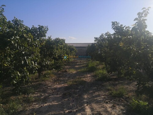 Foto - Grundstück in Albaida - 100.000,00&nbsp;EUR Kaufpreis, ca.&nbsp; 0,00&nbsp;m&sup2;