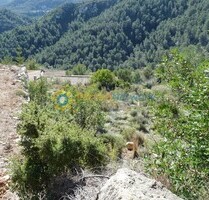 Grundstück in Oliva - 77.000,00&nbsp;EUR Kaufpreis, ca.&nbsp; 0,00&nbsp;m&sup2; in Oliva (PLZ: )