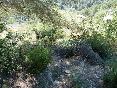 Foto - Grundstück zum Kaufen in Oliva