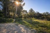 Foto - Grundstück in Montaverner - 75.000,00&nbsp;EUR Kaufpreis, ca.&nbsp; 0,00&nbsp;m&sup2;
