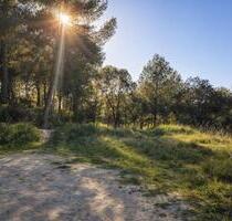Grundstück in Montaverner - 75.000,00&nbsp;EUR Kaufpreis, ca.&nbsp; 0,00&nbsp;m&sup2; in Montaverner (PLZ: )
