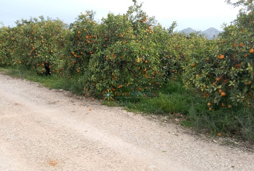 Foto - 