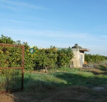 Grundstück in Oliva - 120.000,00&nbsp;EUR Kaufpreis, ca.&nbsp; 0,00&nbsp;m&sup2; in Oliva (PLZ: )