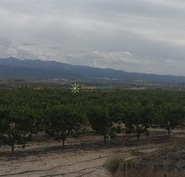 Grundstück in Beniganim - 88.000,00&nbsp;EUR Kaufpreis, ca.&nbsp; 0,00&nbsp;m&sup2; in Beniganim (PLZ: )