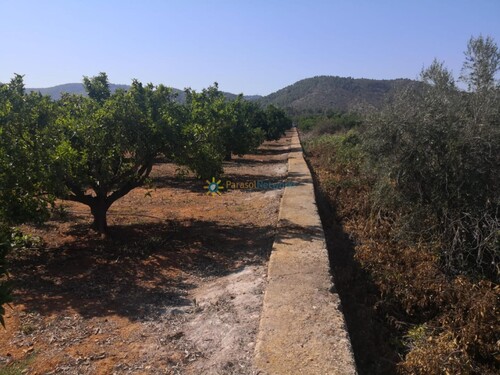 Foto - Grundstück in Oliva zum Kaufen