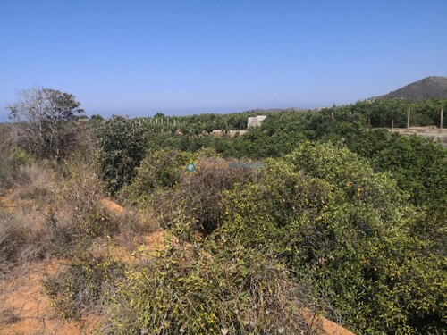 Foto - Grundstück zum Kaufen in Oliva