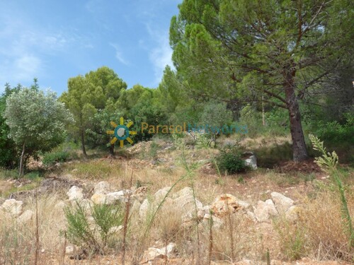 Foto - Grundstück in Real De Gandia zum Kaufen