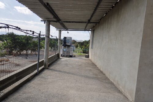 Foto - 