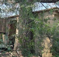 Grundstück in Bellus - 21.000,00&nbsp;EUR Kaufpreis, ca.&nbsp; 0,00&nbsp;m&sup2; in Bellus (PLZ: )