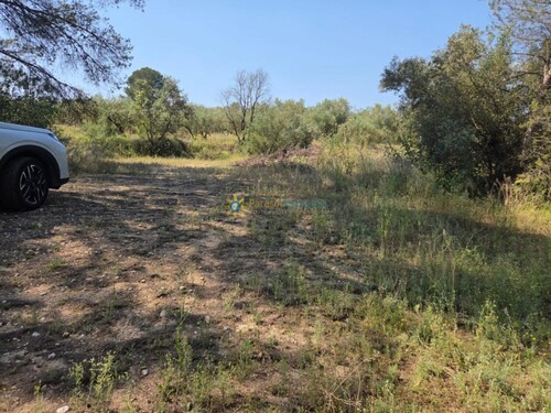 Foto - Grundstück in Bellus zum Kaufen