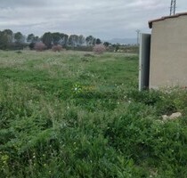 Grundstück in La Pobla Del Duc - 60.000,00&nbsp;EUR Kaufpreis, ca.&nbsp; 0,00&nbsp;m&sup2; in La Pobla Del Duc (PLZ: )