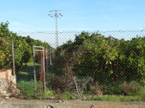 Foto - Grundstück in Oliva