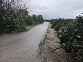 Foto - Grundstück in Senyera zum Kaufen
