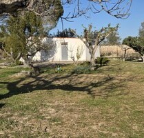 Grundstück in LOlleria - 70.000,00&nbsp;EUR Kaufpreis, ca.&nbsp; 0,00&nbsp;m&sup2; in L'Olleria (PLZ: )