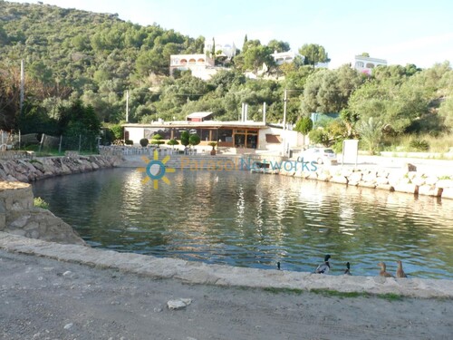 Foto - 