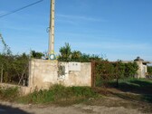 Foto - 